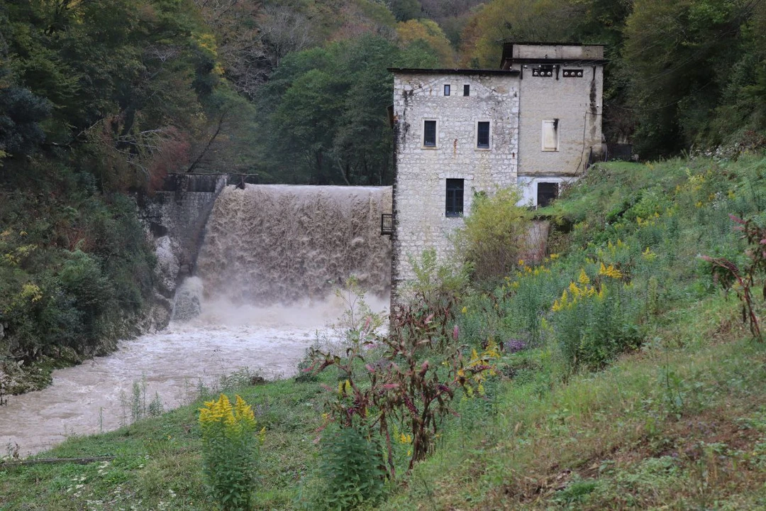 Экскурсия прошла великолепно. Спасибо Гору за интересные рассказы о достопримечательностях, которые встречались на нашем пути, и