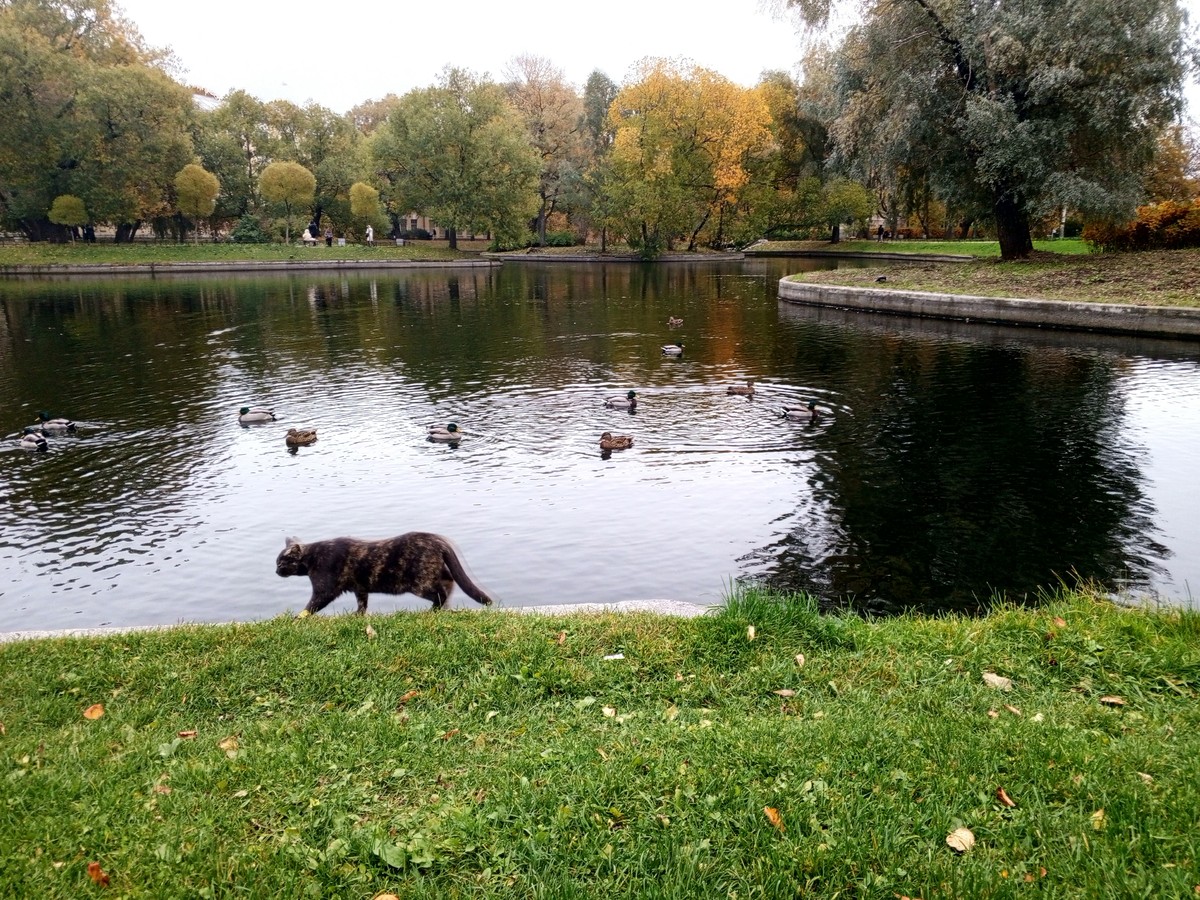 Жизнь и смерть Распутина: мобильный квест (16+) (16/20)