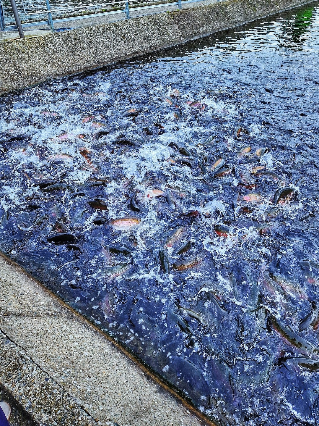 Если вам нужен скучный гид, который будет читать факты из Википедии, то мимо. Тут история про