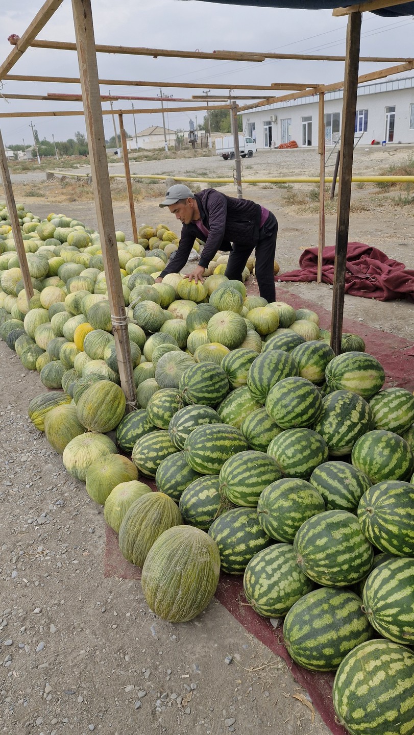 Были в Заамине 14 октября. Увлекательная поездка получилась. Жахонгир забрал рано утром нас из отеля и