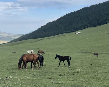 Каракольское ущелье, Музей Пржевальского, Семёновское и Григорьевское ущелья