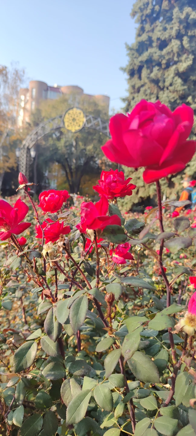 Хочу выразить огромную благодарность Малику за прекрасную, насыщенную экскурсию, благодаря которой мы так близко познакомились с