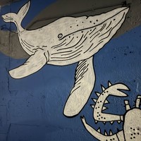 reviews img