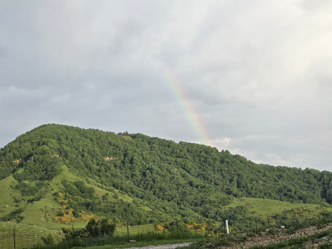 Организация немного хромала. Организатор позвонил только в 20 часов (при том что выезжать надо было в