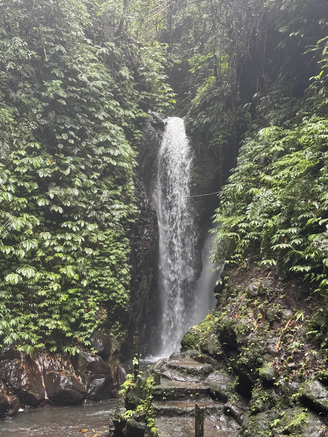 Лилис чудесная! Интересная и хорошо знает русский. Водитель топ! Спасибо за организацию крутой экскурсии!