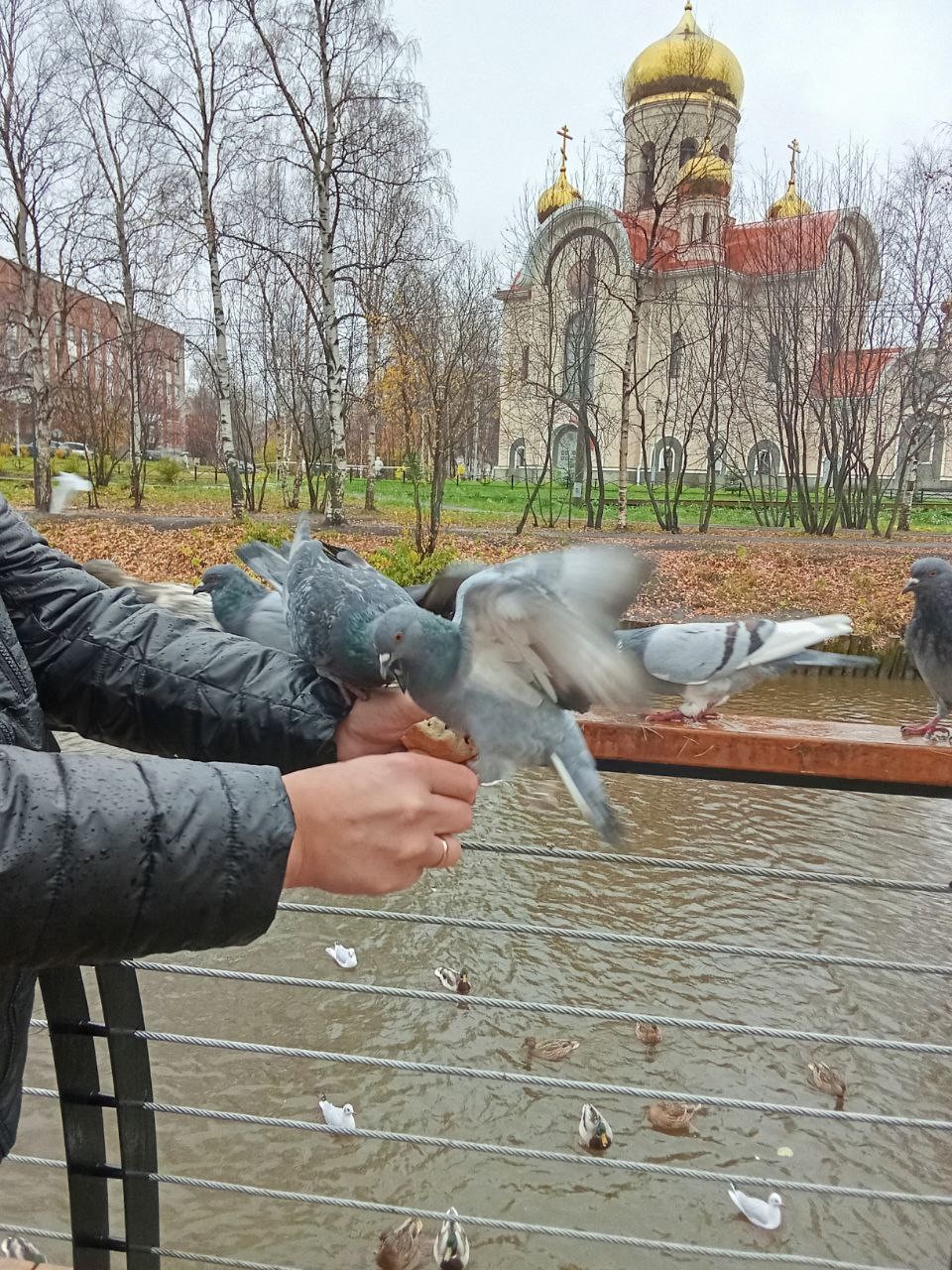 Очень интересная экскурсия, спасибо замечательному экскурсоводу Арине! Так все интересно, с юмором. И как всегда даже