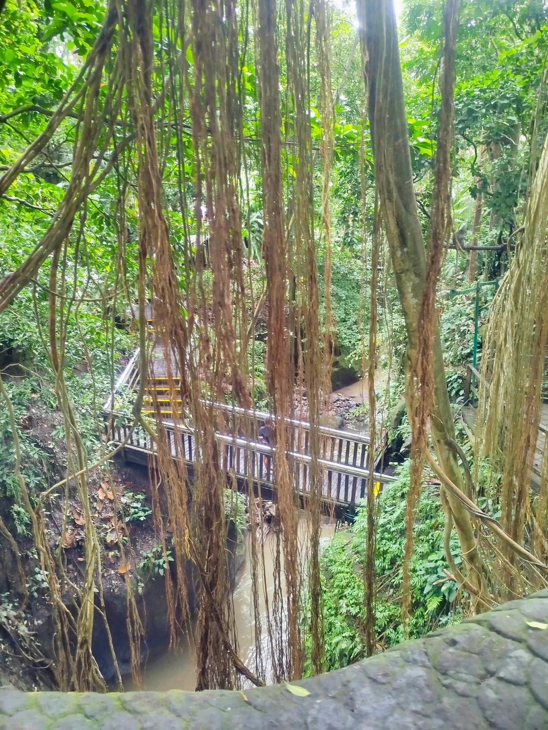 6 ноября ездили на экскурсию с гидом Эрди. Очень рекомендую!