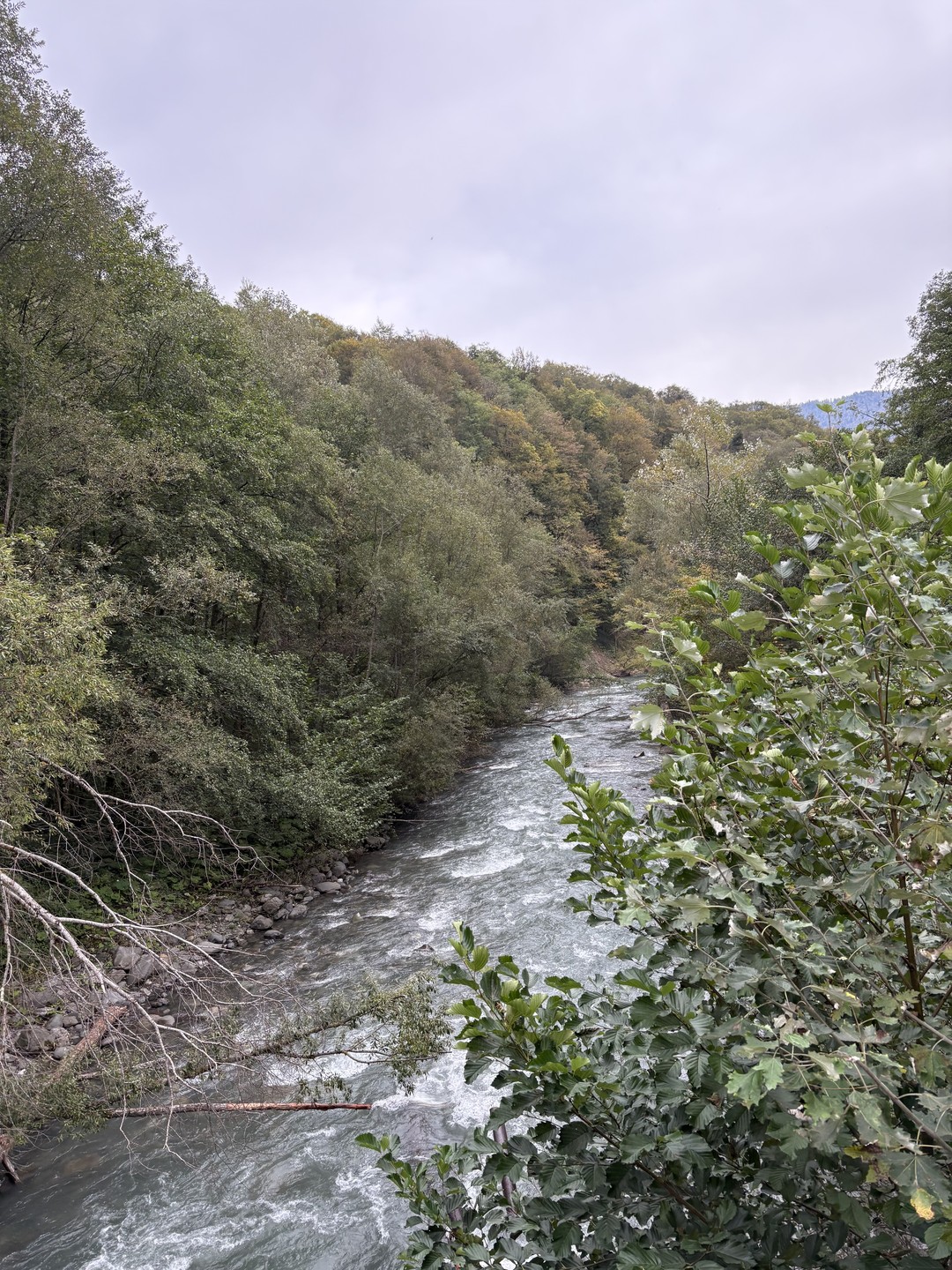 Экскурсия была великолепная. Потрясающая природа, замечательная организация поездки. Спасибо большое Дмитрию