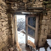 Фото отзыва 2: экскурсия ""