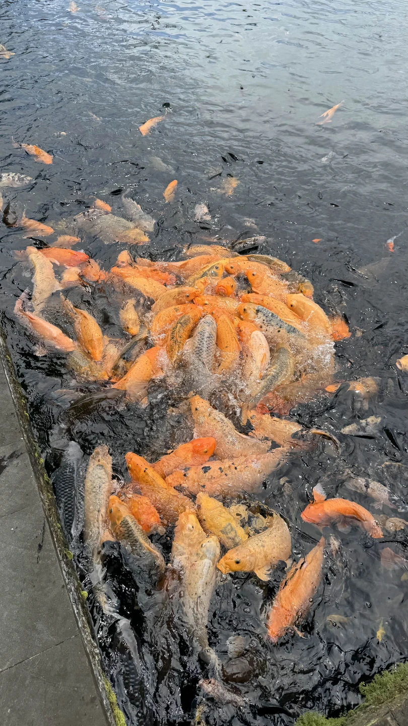 Экскурсия с гидом Андреем очень понравилась, была очень комфортной — удобный новый автомобиль с кондиционером и