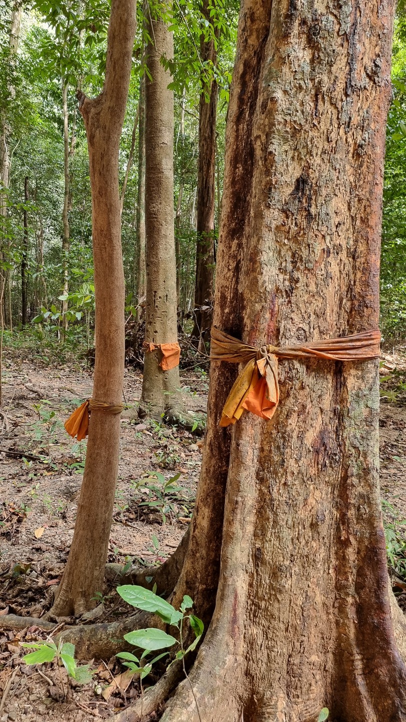 Очень довольны организацией экскурсии. Владимир забрал нас из отеля точно по времени. Учёл наши пожелания и