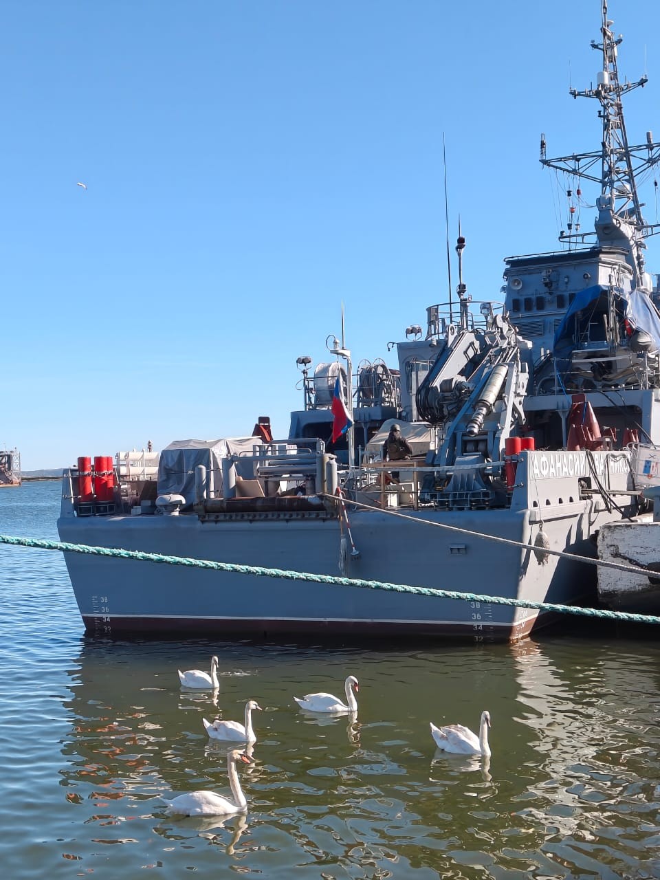 Три дня в Калининградской области прошли быстро и познавательно. Снижаю одну звезду за организационные накладки. Посмотрели