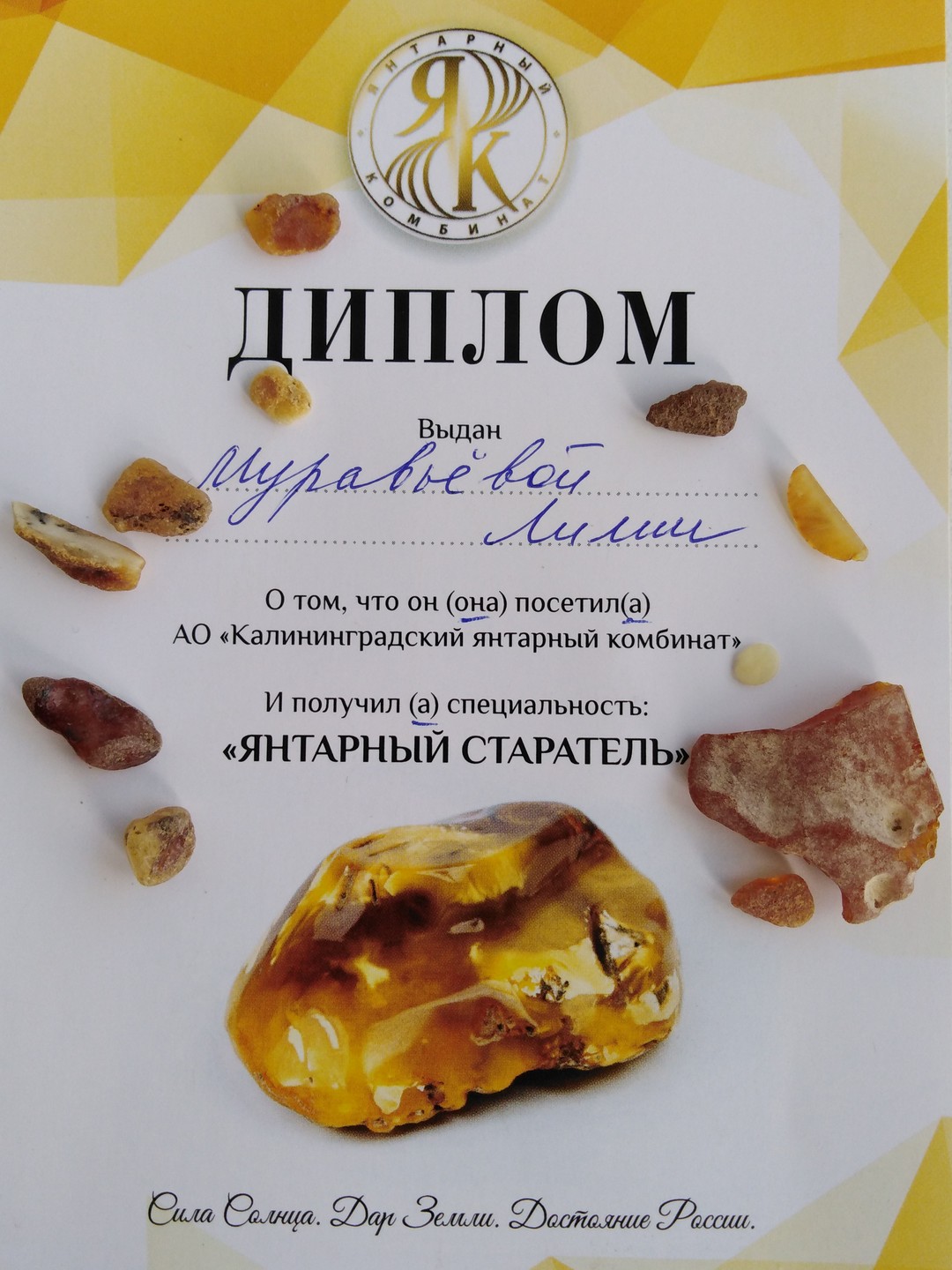 Путешествие по янтарному побережью из Калининграда (Елена)