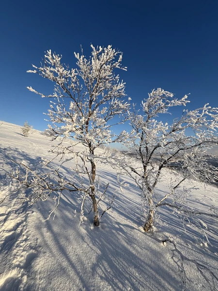Самый лучший день в Мурманске несмотря на мороз пронизывающий до костей
