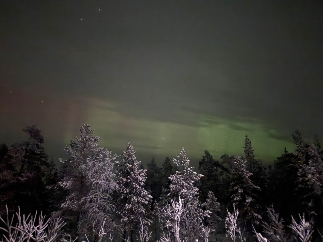 Мурманск: охота за северным сиянием (Ирина)