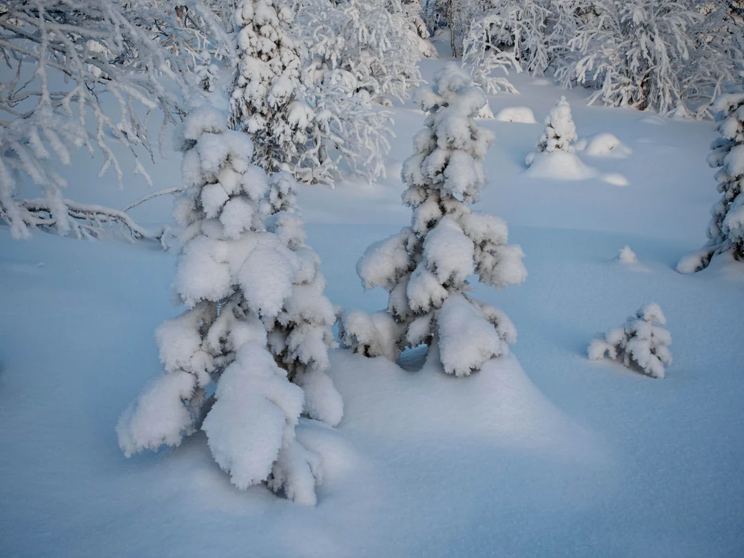 Прекрасная экскурсия, организованная Оксаной в сопровождении ее лучшего друга Дюны(ласковая, дружелюбная собака)! Оксана по пути рассказала