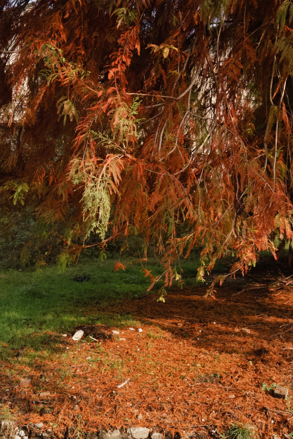 Сегодня была на экскурсии с Эдуардом и осталось под большим впечатлением. Супер комфортный и классный организатор: