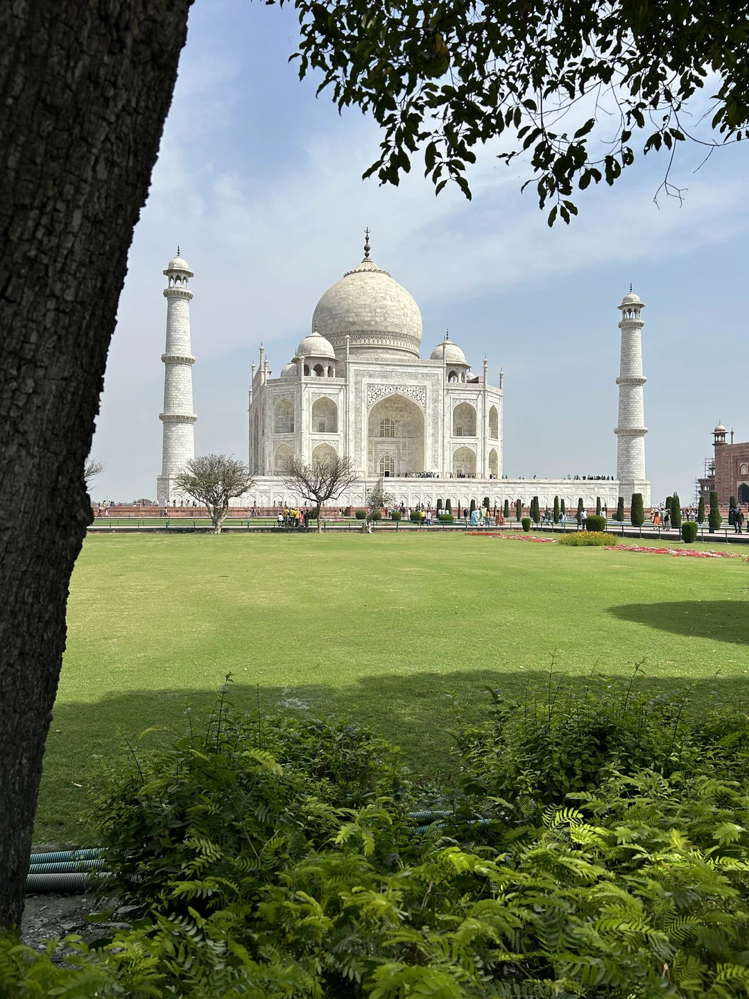 Индийские железные дороги - интересный опыт, поэтому этот способ добраться до Агры был отличным выбором. Водитель