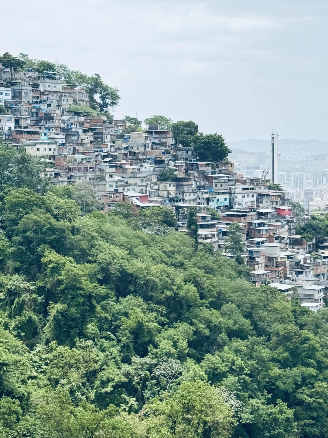 Спасибо большое за экскурсию! Очень впечатлил Рио. Фавелы, статуя Христа, пляж Копакобана-это идеальные места для знакомства