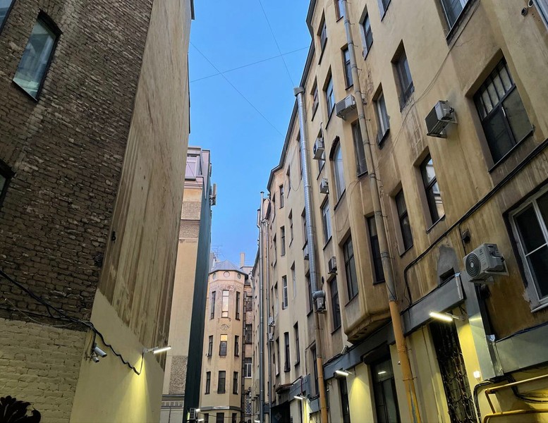 Виды Неформальная обзорная экскурсия по Петербургу