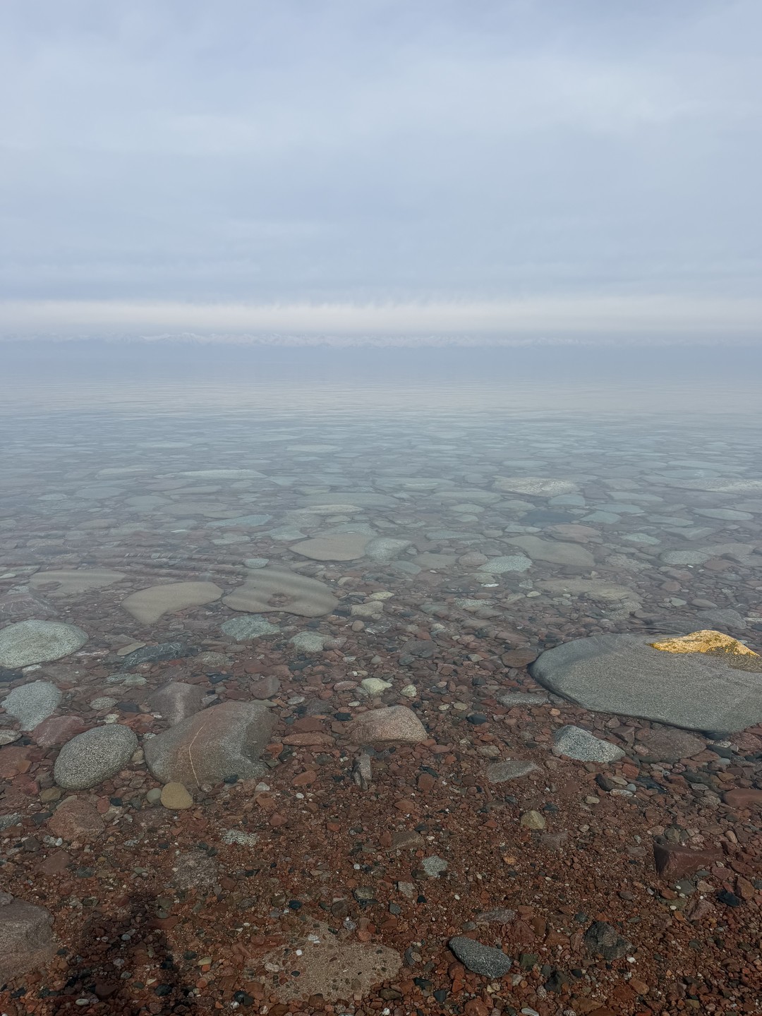 Потрясающие 3 дня провели в компании Дмитрия! Ездили семьей с 3 детьми, все прошло супер! Насмотрелись