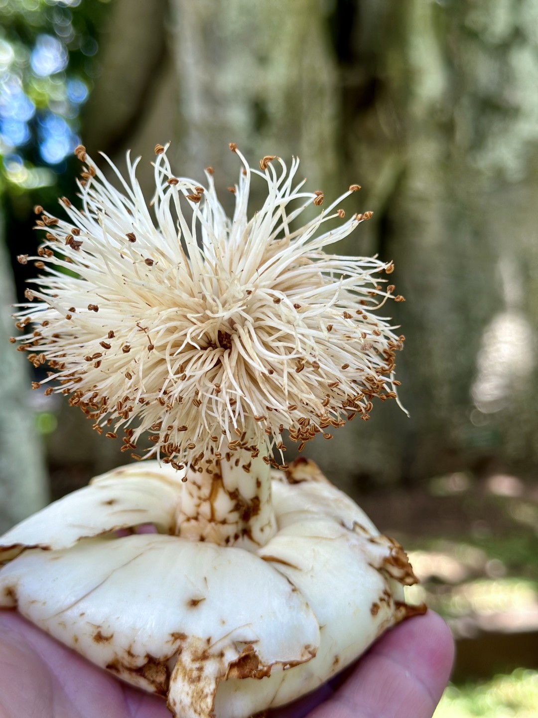 С самого начала нашей экскурсии сложилась непринужденная,комфортная атмосфера. Наш гид Анна в очень приятной манере делилась