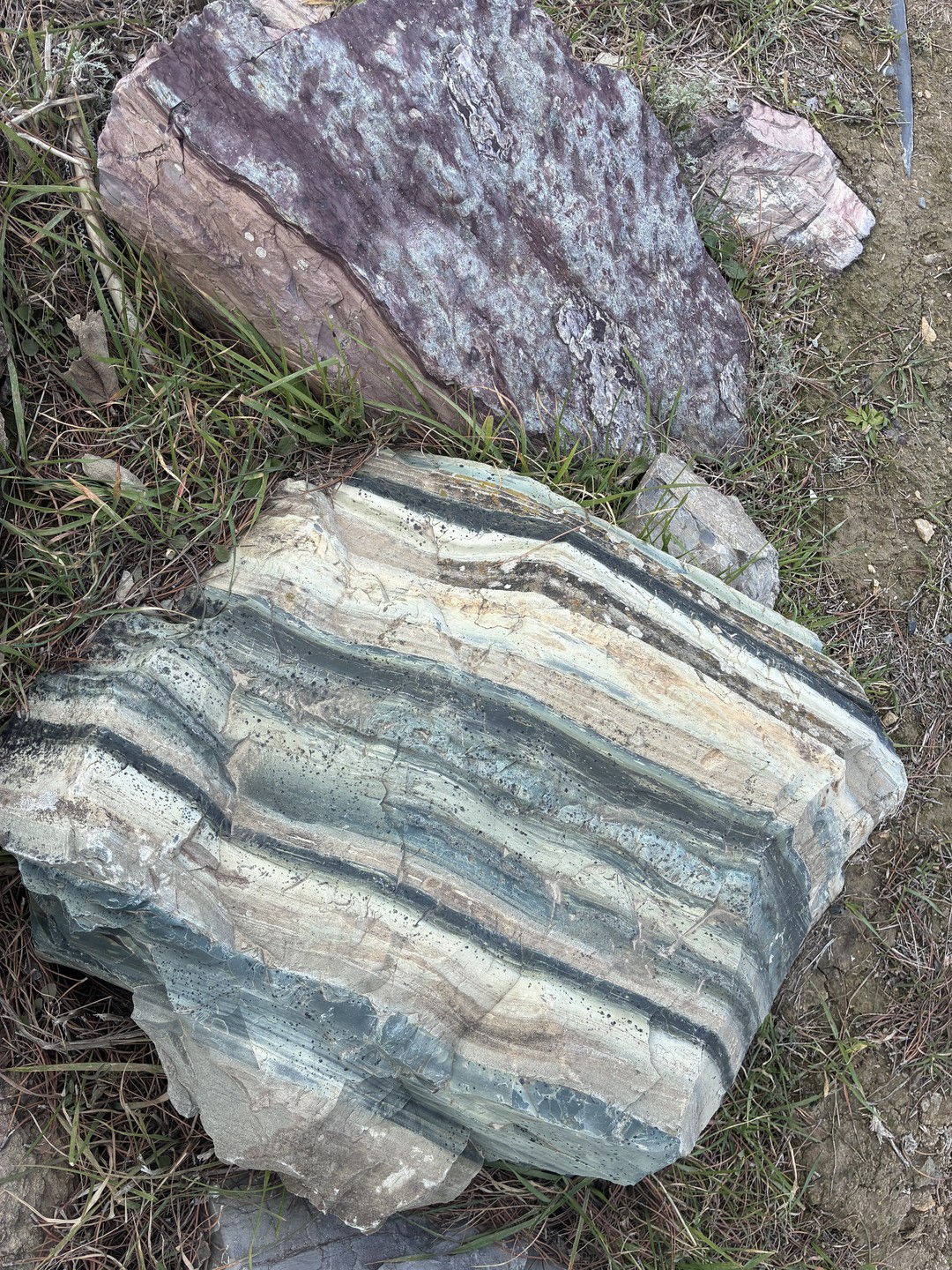 Это была чудесная и невероятная экскурсия!!! Мы увидели много явлений, которых не увидишь больше нигде! Грязевые