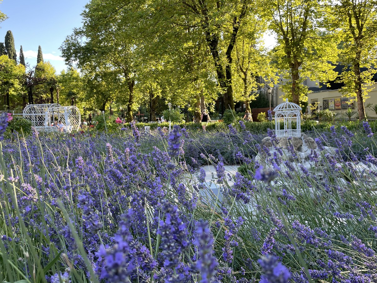 Сочи: от скромного селения до фешенебельного курорта (9/11)