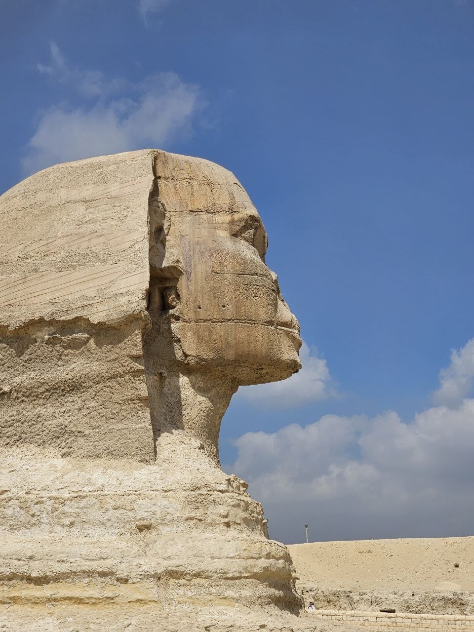 Советую этот тур для знакомства с Каиром, это было что-то фантастическое!