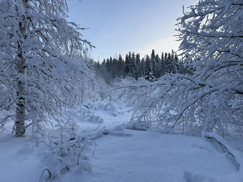 Замечательная экскурсия! Не первый раз пользуемся услугами гида Сергея. Были и летом, и зимой. Сергей великолепный