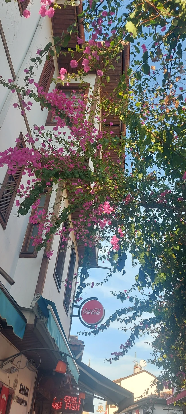 Экскурсия с Ирем оставила незабываемые впечатления