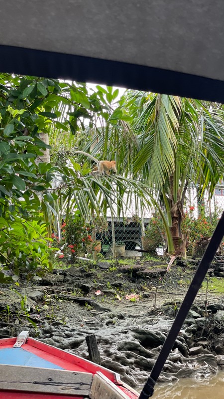 Фото отзыва 3: экскурсия "Тестовый групповой формат без тарифов"