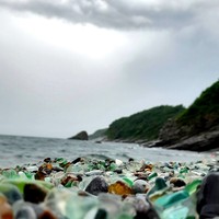 Фото отзыва 1: экскурсия "Сафари-парк и три бухты: Муравьиная, Шамора и Стеклянная"