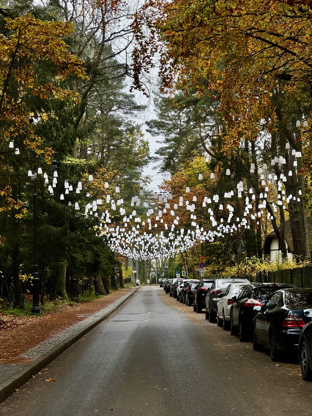 Приятная прогулка по осеннему Светлогорску, посетили самые знаковые места. Узнали о довоенной жизни города. Спасибо экскурсоводу Ксении!