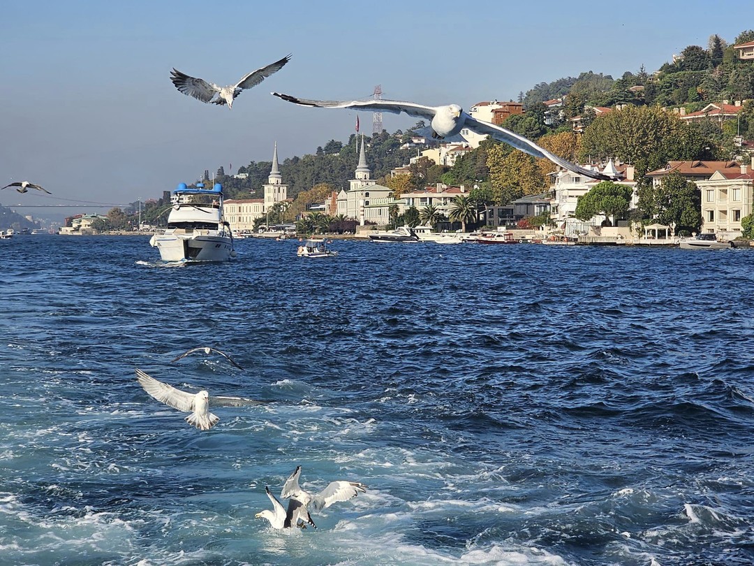 В сердце Стамбула с профессиональным гидом (Iryna)