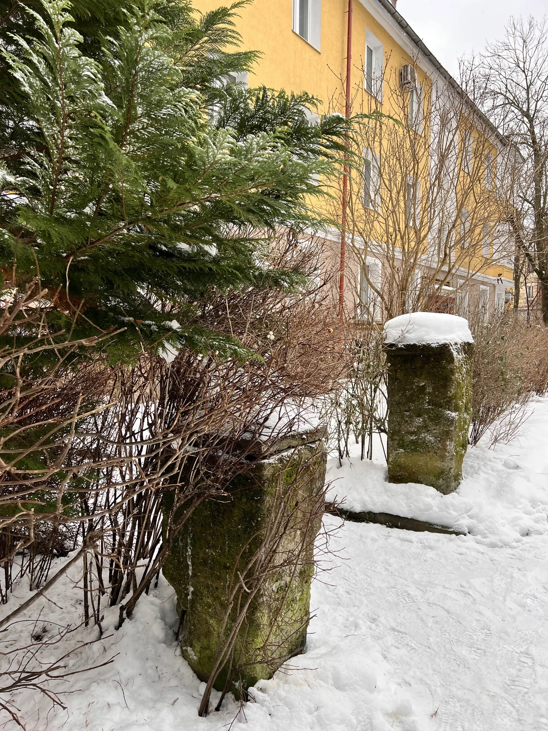 Затерянный уголок Пруссии: групповая прогулка по Амалиенау (Irina)