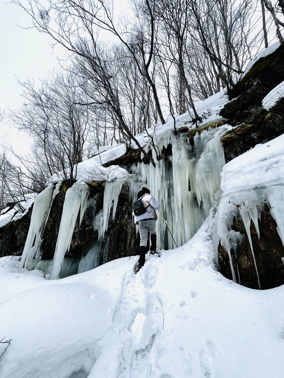 Все прошло отлично! 👍🏼 Первый опыт на снегоступах оставил неизгладимое впечатление) Для любителей долгих прогулок настоятельно