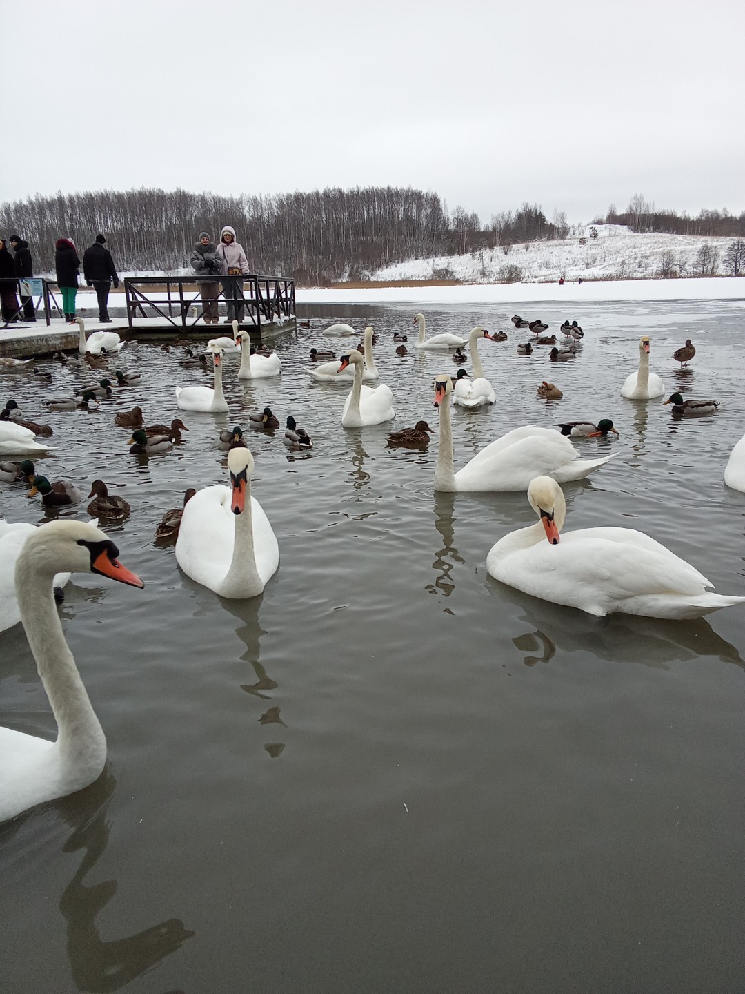 Всё было супер.