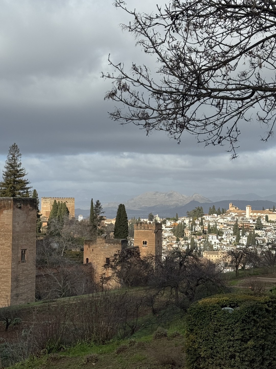 Огромное спасибо Елене за чудесную экскурсию по Альгамбре и садам Хенералифе!