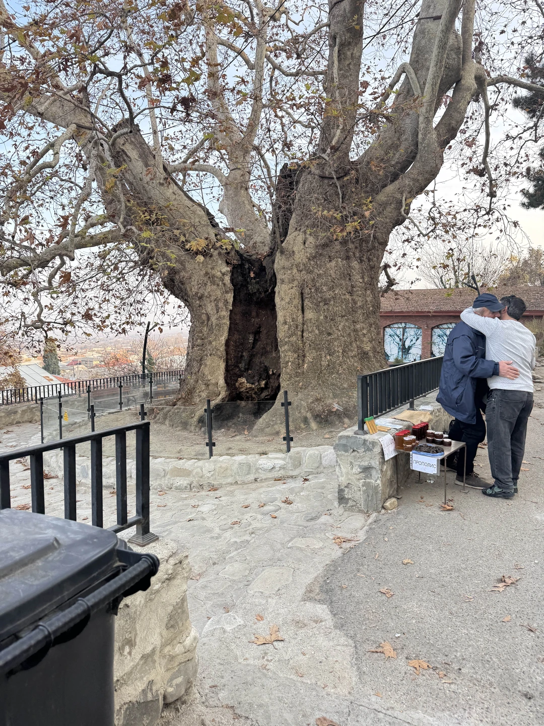 Кахетия покорила не только вкусом вина, но и атмосферой!