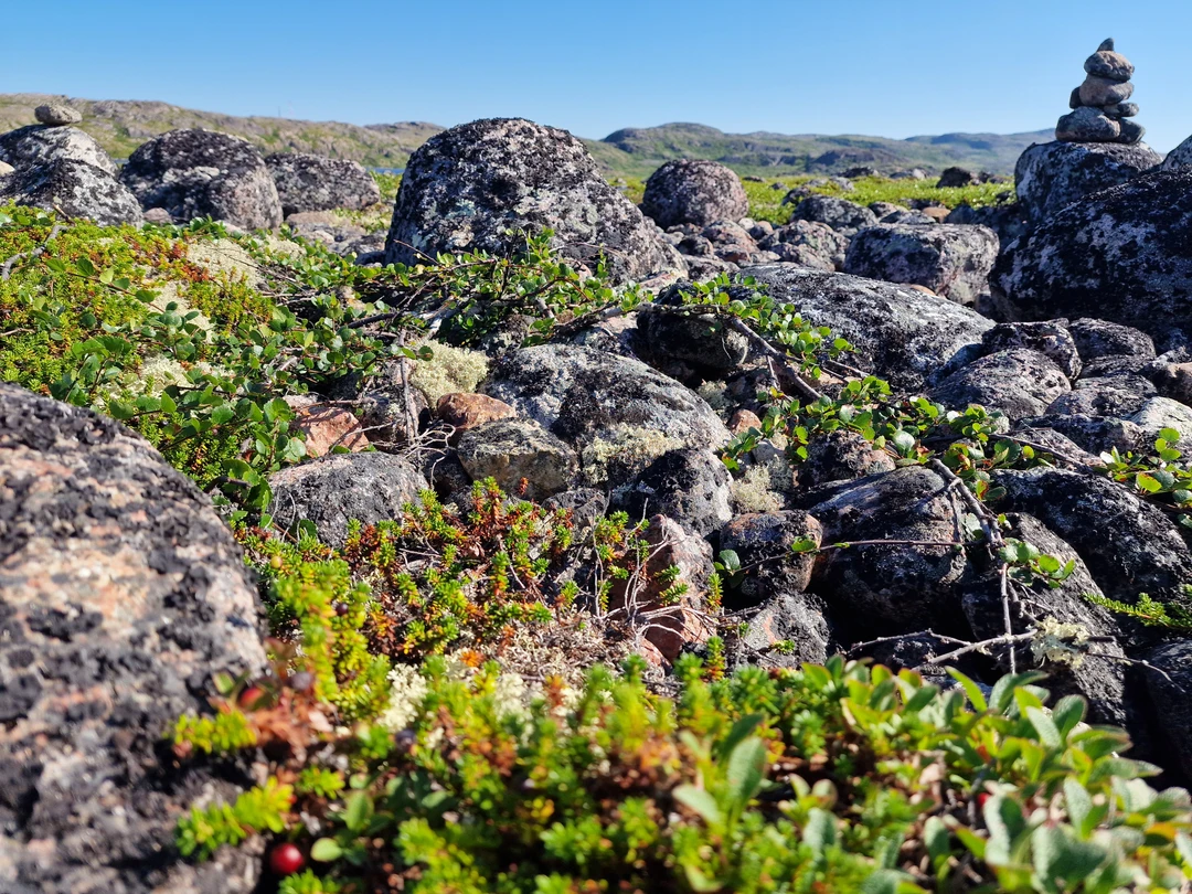 Спасибо Евгению за увлекательное путешествие к Краю Земли. Лёгкая коммуникация, пунктуальность, отзывчивость и аккуратное вождение. Мы