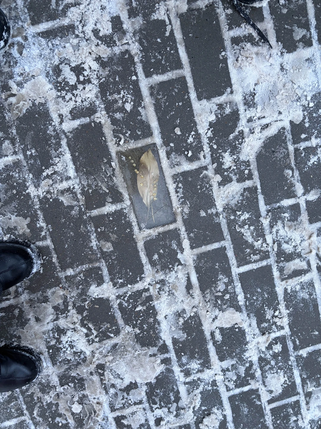 Интересная живая подача. Глоток воздуха в нудных экскурсиях. Злата спасибо. Много материала собрал для своей песни. Спасибо