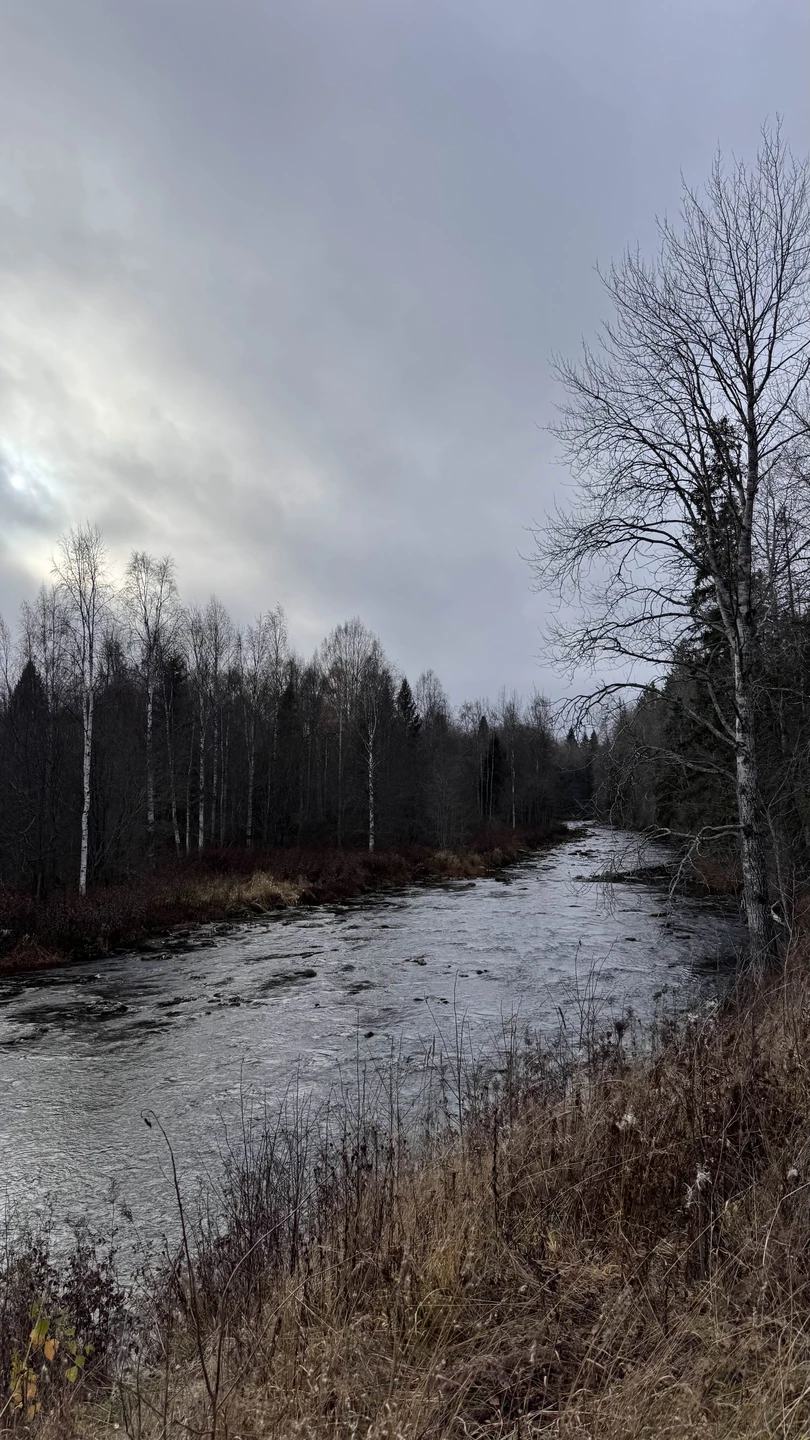 Карелия заповедная: прогулка по экотропе (Светлана)
