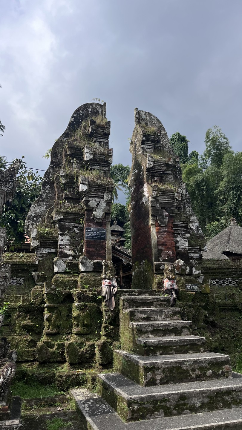 Экскурсия была потрясающей! Ваян чудесный рассказчик и веселый человек! Отлично говорит по-русски. Экскурсия не оставила нас