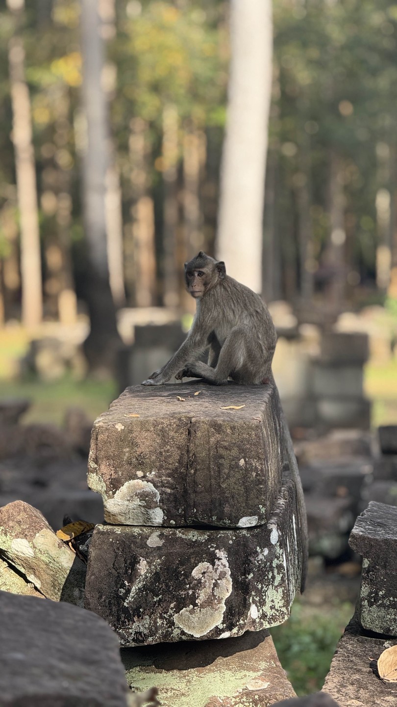 Экскурсия - топ, понравилось все: сами храмы!!! Гид-камбоджийка Валя, свободно владеющая русским языком и максимально детально