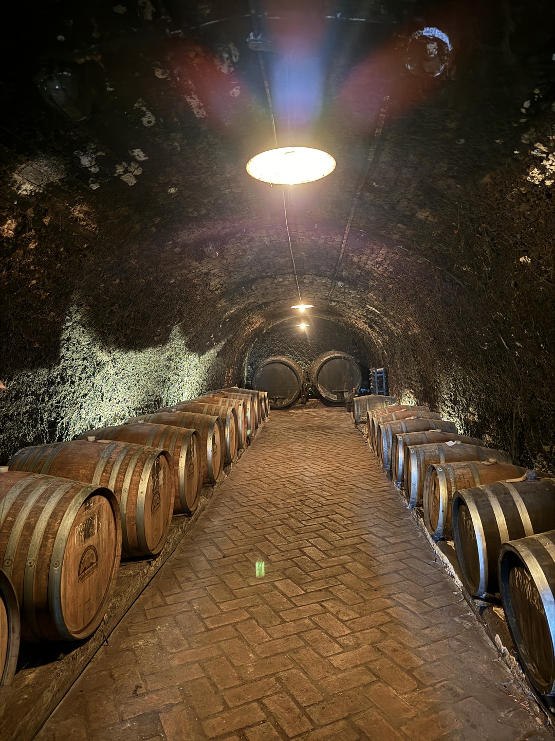 Нам очень понравилась экскурсия и маршрут. Саша - отличный и профессиональный экскурсовод, помимо мест, которые посещали