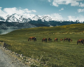Северный берег Иссык-Куля, горячие источники и возвращение в Бишкек