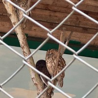 Фото отзыва 3: экскурсия "Экоцентр «Лаура» — знакомство с природой Кавказа"