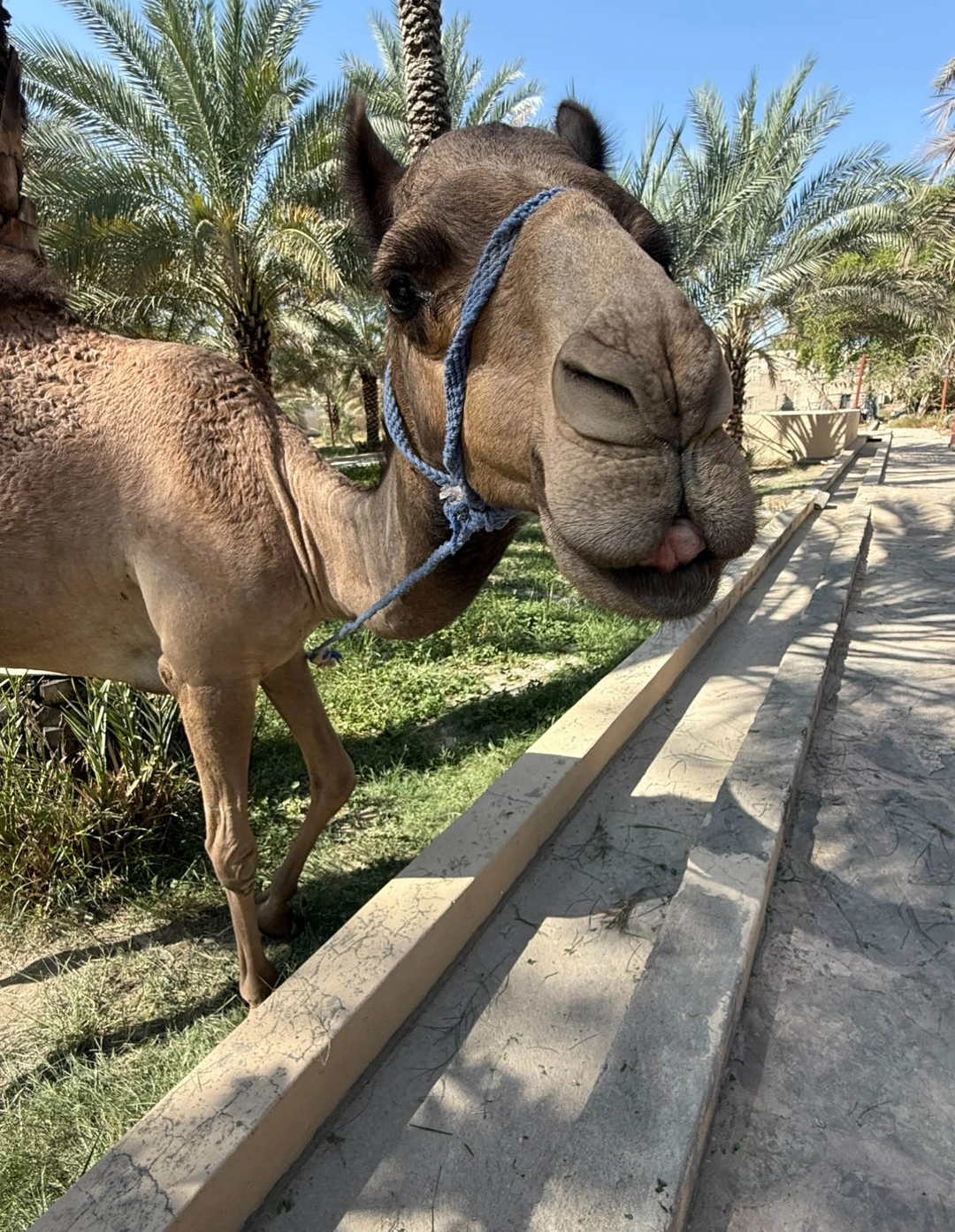 Огромное спасибо Илье за наше фантастическое начало путешествия в удивительную и очень колоритную страну) Получили большое