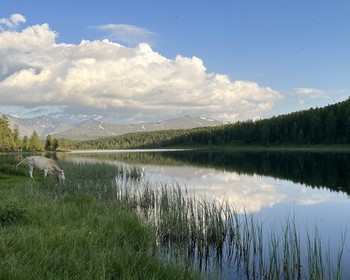 Улаганский тракт, озёра Чейбеккёль, Киделю и Уч-Кёль, Пазырыкские курганы, перевал Кату-Ярые и долина Чулышман
